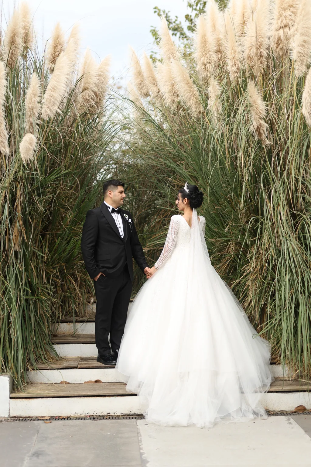 Gelin ve damat, uzun pampas otlarının arasında birbirine bakıyor.